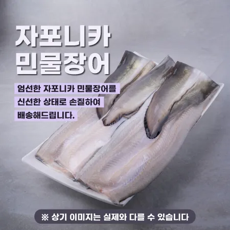 자포니카 민물장어 1.5미 