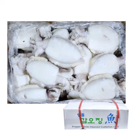 냉동 갑오징어 150/200 5kg 베트남 손질 내장제거 숙회 찜
