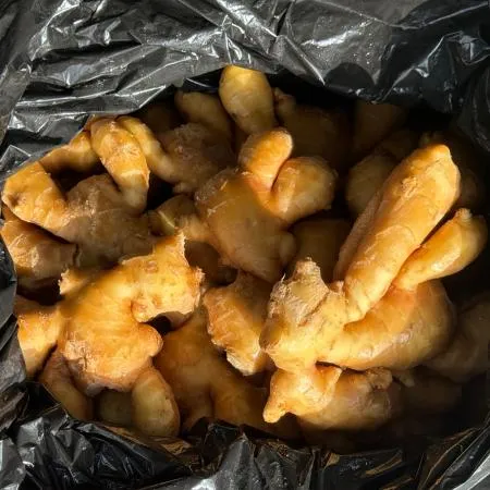세척 생강 10kg 이미지