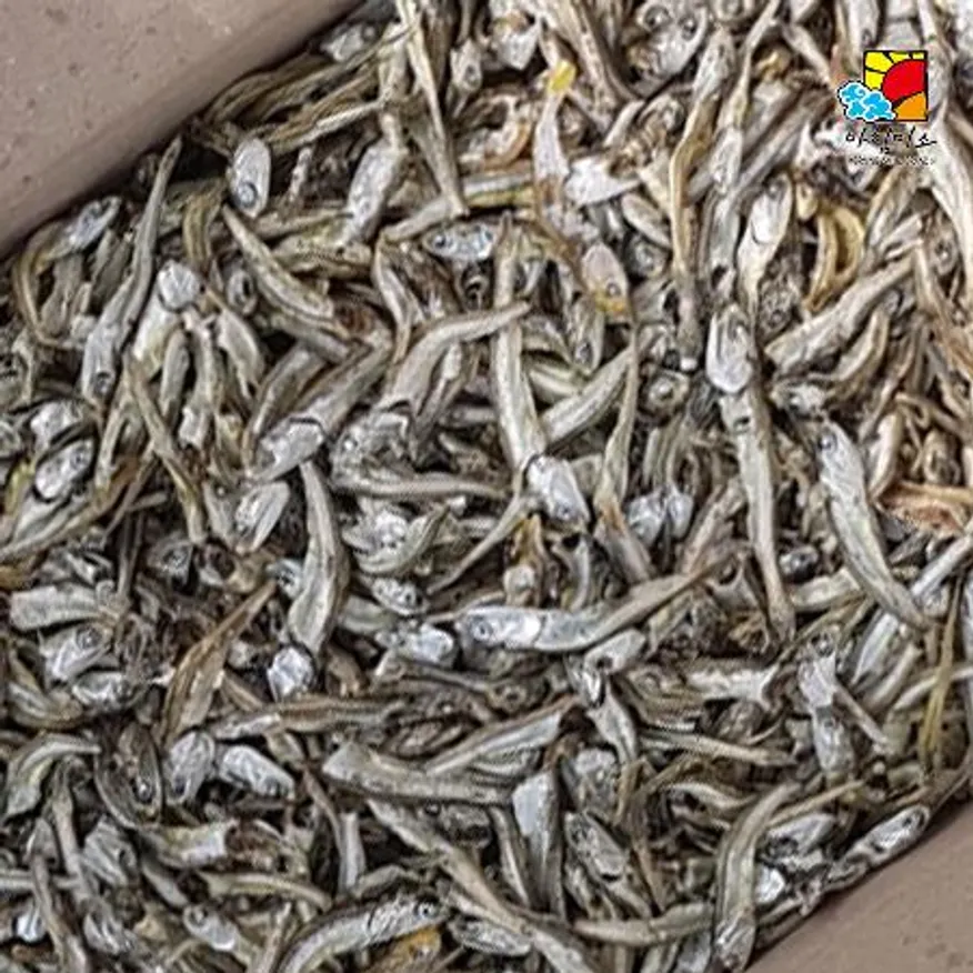 고바멸치 중 1.5kg 이미지