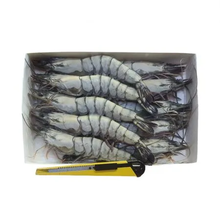 블랙타이거 새우 12미 500g(아이스박스 무료) 냉동 얼룩새우 킹 대왕 킹타이거새우