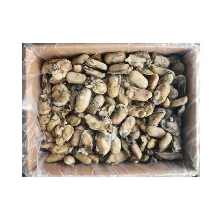 냉동 굴 10KG 국내산 대용량