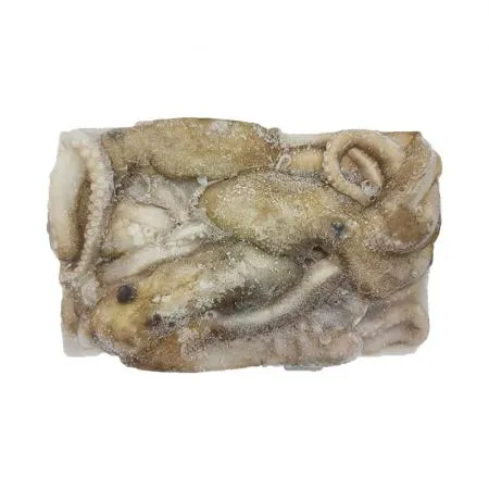 냉동낙지 활낙지(3미) 850g 업소용 박스 연포탕 낙지볶음