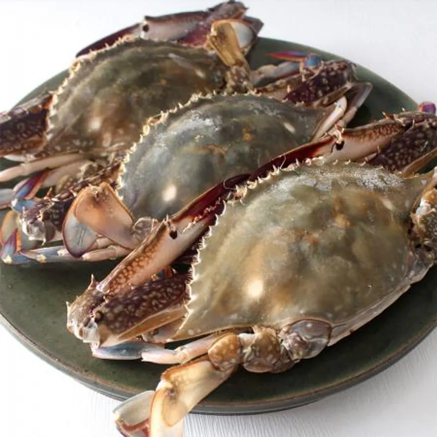 서해안 살오른 제철 꽃게 숫꽃게 1kg x 3~6미 내외 산지직송 이미지