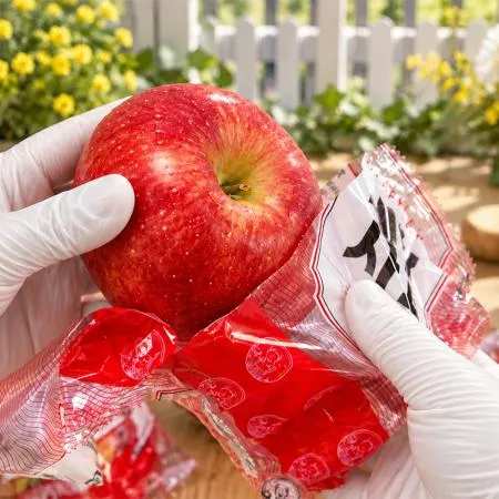 제철과일 껍질째 먹는 세척사과 랜덤과 1박스 4.5kg 이미지