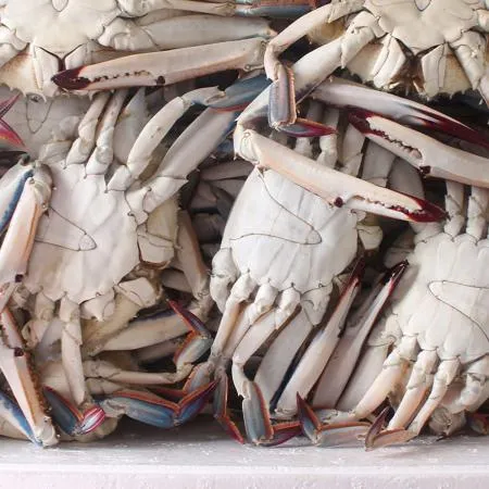서해안 살오른 제철 꽃게 숫꽃게 1kg x 3~6미 내외 산지직송 이미지