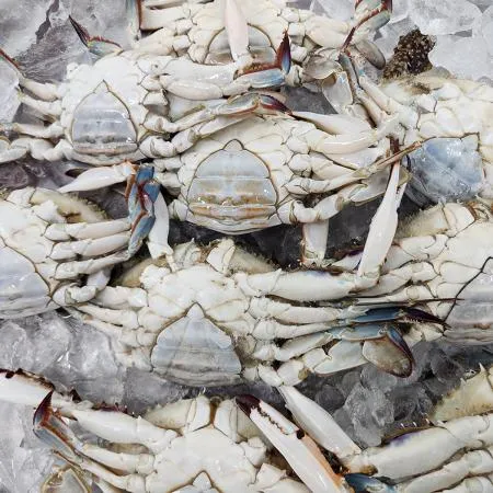 국내산 연평도 급냉 꽃게 알배기 암꽃게 1박스 1kg x 3~5미 내외 이미지