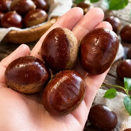 26년 공주 햇밤 알밤 왕밤 생밤 꿀밤 1kg 이미지