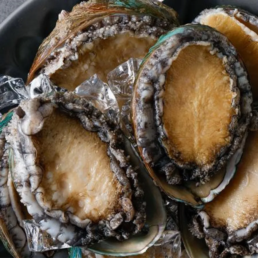 산지직송 완도 활전복 1kg x 8~9미 내외 산소포장 참전복 이미지