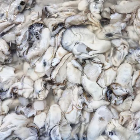 통영 제철 깐굴 1kg 하프쉘 세척 생굴 이미지
