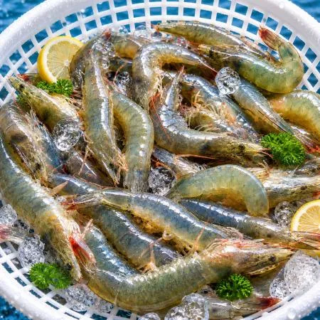 산지직송 국내산 제철 활 흰다리새우 생새우 1박스 1kg x 34미 내외 이미지