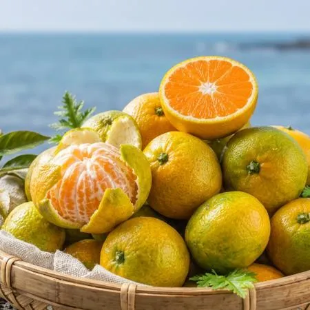 제주 극조생 노지 감귤 로얄과 4.5kg(실중량) 햇감