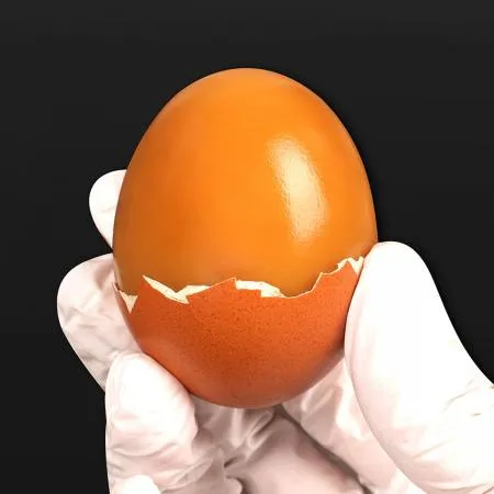 파손보상 맥반석 구운계란 대란 60구 품질보증 이미지