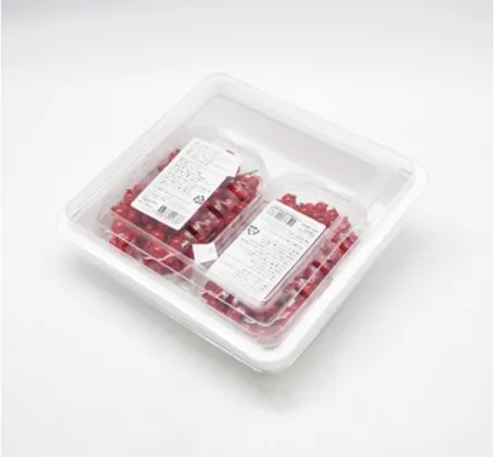 (MZ)냉동 줄기 레드커런트 (송이) 125g