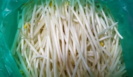 두절콩나물(박스/4kg내외/중국산)