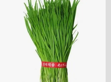 부추(500g내외/국내산)
