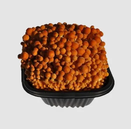황금팽이버섯(200g내외/국내산)