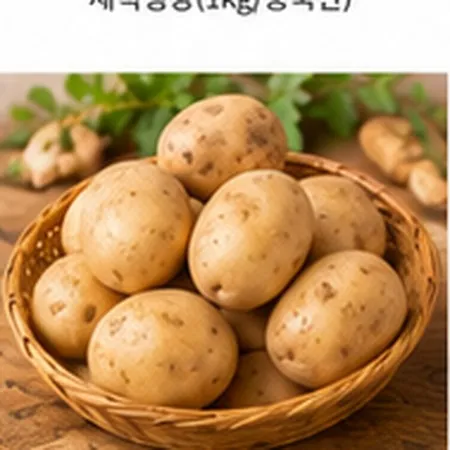 감자(왕특/3kg내외/국내산)