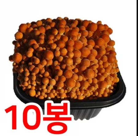 황금팽이버섯(박스/200g*10개/국내산)