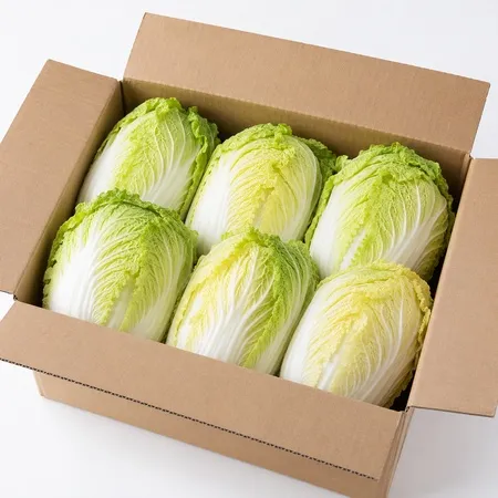 알배추(박스/8kg내외/국내산)