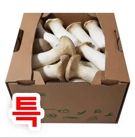 새송이버섯(박스/2kg내외/국내산/특급)