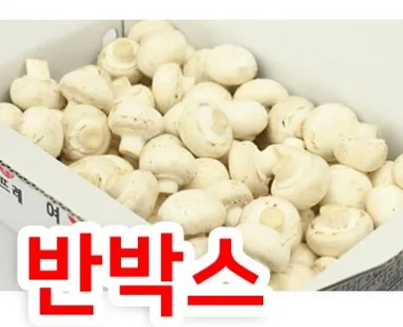 양송이버섯(1kg내외/국내산/A급)