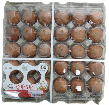 중란, M(30입, 5판)