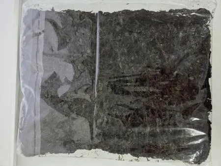 남해안산 돌자반 건파래 1장 이미지