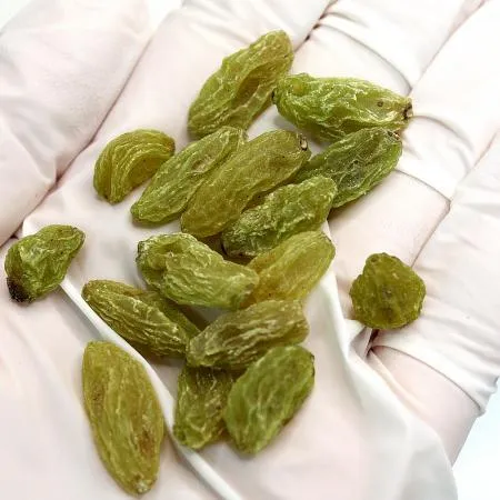 건조청포도 10kg 말린청포도 이미지