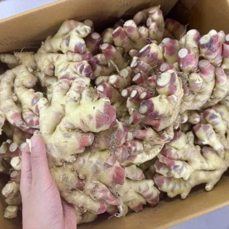 생강 10kg 국내산 이미지