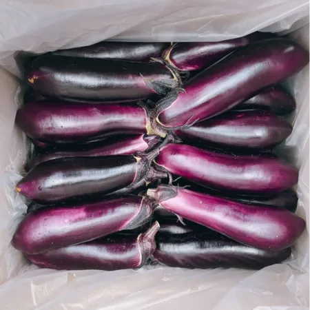 가지 10kg 국내산