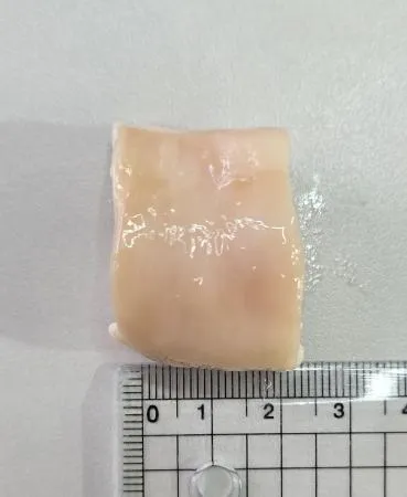 대창푸드컴퍼니 한우곱대창 2kg*5ea 도매 업소용 이미지