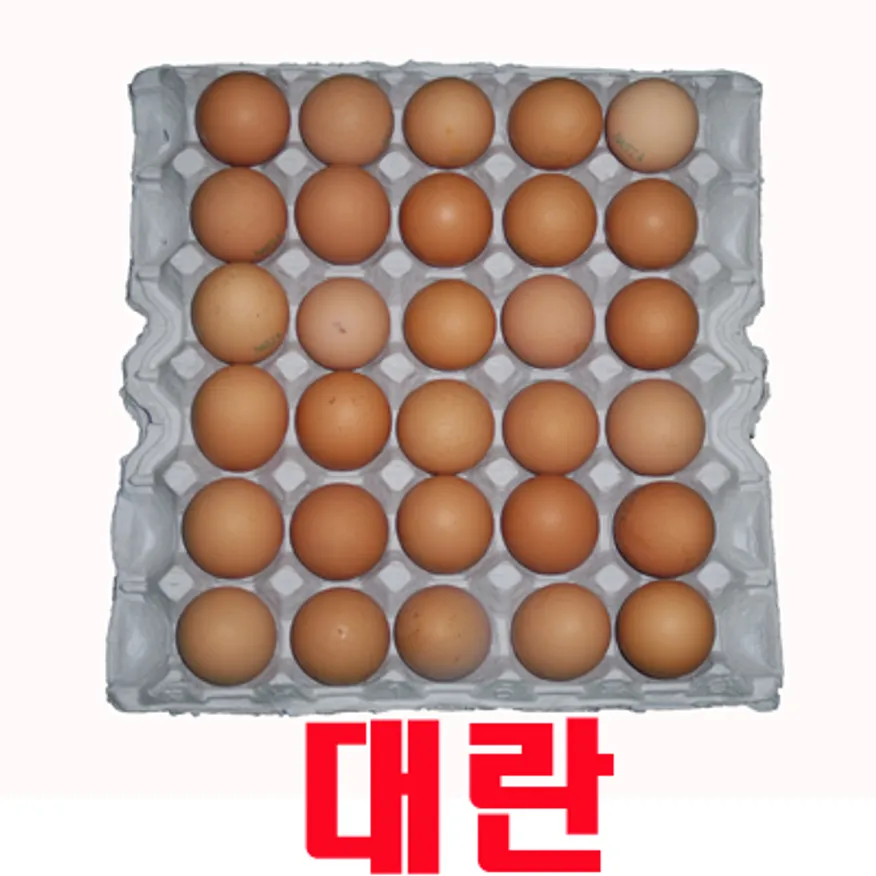 계란(대란/60-52g)/신선란/1.8KG 이미지