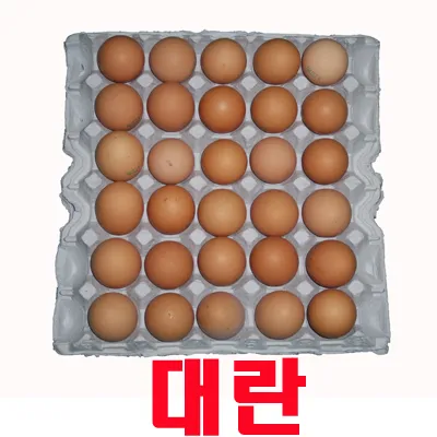 계란(대란/60-52g)/신선란/1.8KG 이미지