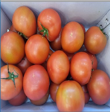 *토마토(반숙/5kg/박스)
