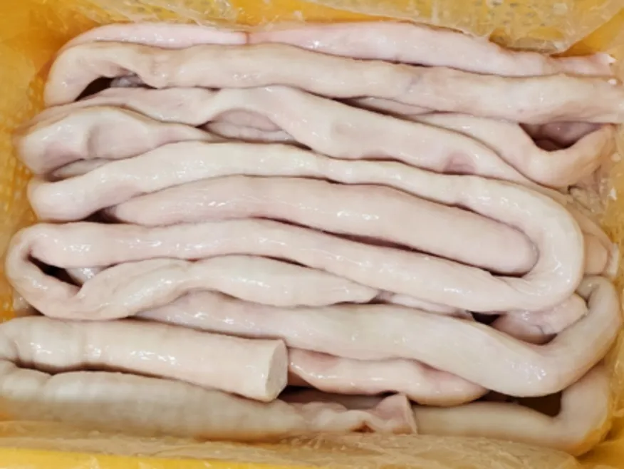 제이오푸드 한우대창 10kg 벌크포장 이자카야 소대창 손질대창 이미지