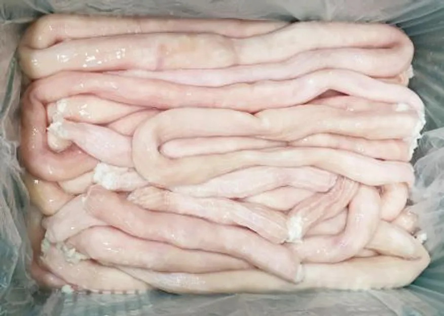 소대창 10kg 호주 구이 전골 양대창 도매 특상급 업소용 대용량 수입냉동 낙곱새 이미지