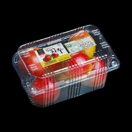과일 포장 용기 귤 자두800g 500개 이미지