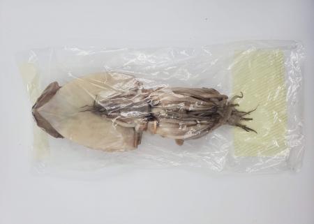 반건오징어_10미