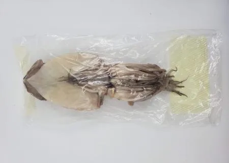 반건오징어_10미