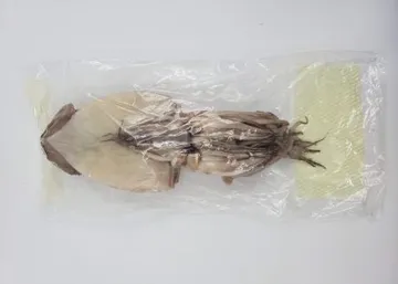 반건오징어_10미