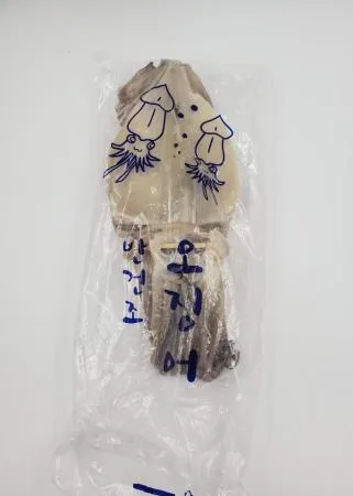 반건오징어특대10미 이미지