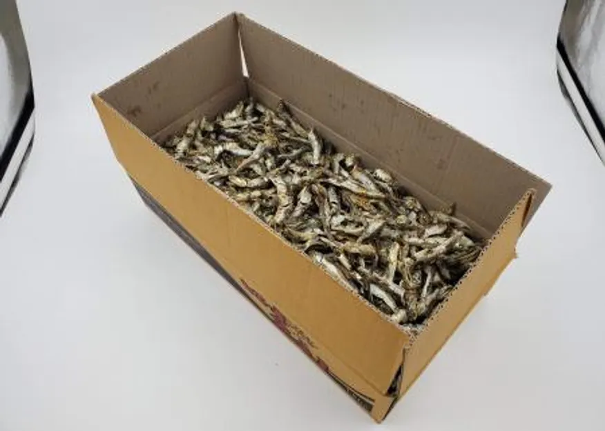 고바멸치_1.5kg 이미지