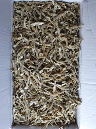 가이리멸치_1.5kg(국산)