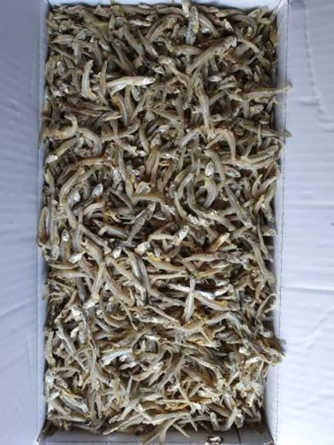 가이리멸치_1.5kg(국산) 이미지