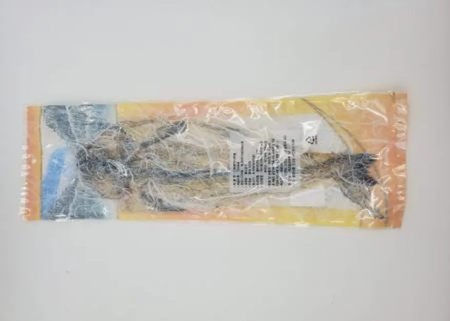 손질먹태_1미(100g) 이미지