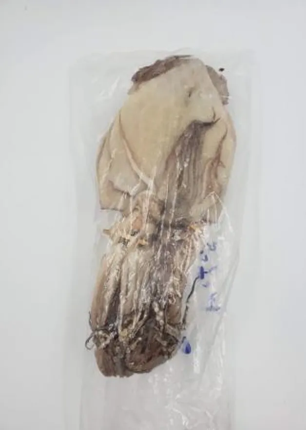 반건오징어특대10미 이미지