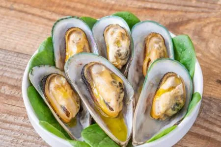 뉴질랜드 그린홍합 800g 냉동 큼지막한 홍합 껍질있음 초록홍합 이미지