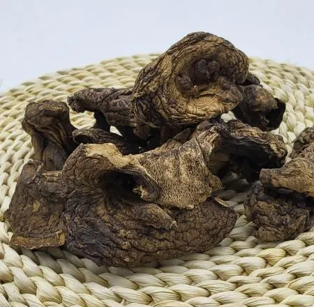 능이 버섯 건조능이버섯 100g B급 능이버섯백숙 능이백숙 웰컴킹  이미지