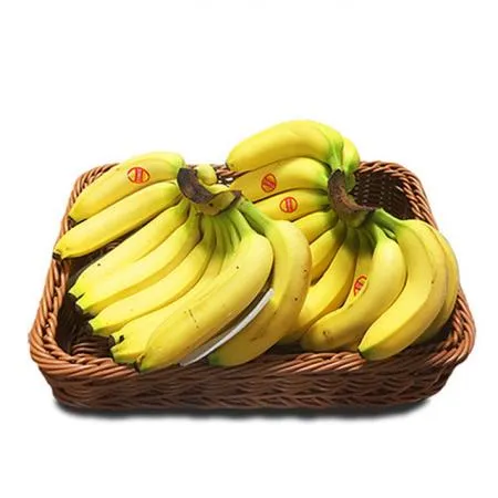 필리핀 고당도 바나나 13kg 6수 이미지